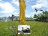 060206 1504_Ubud Katik Lantang scarecrow windmills